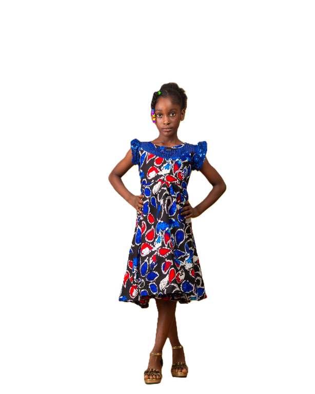 Charming Ankara Print Dress with Ruffled Sleeves for Girls
